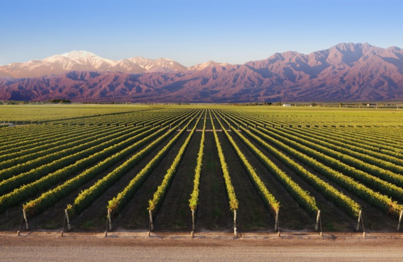 Paquete de viaje mendoza deluxe 2156 201804301207250